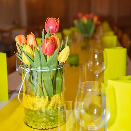 A L'étoile D'or Hotel Batzendorf